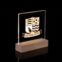 Club Crest LightBox*